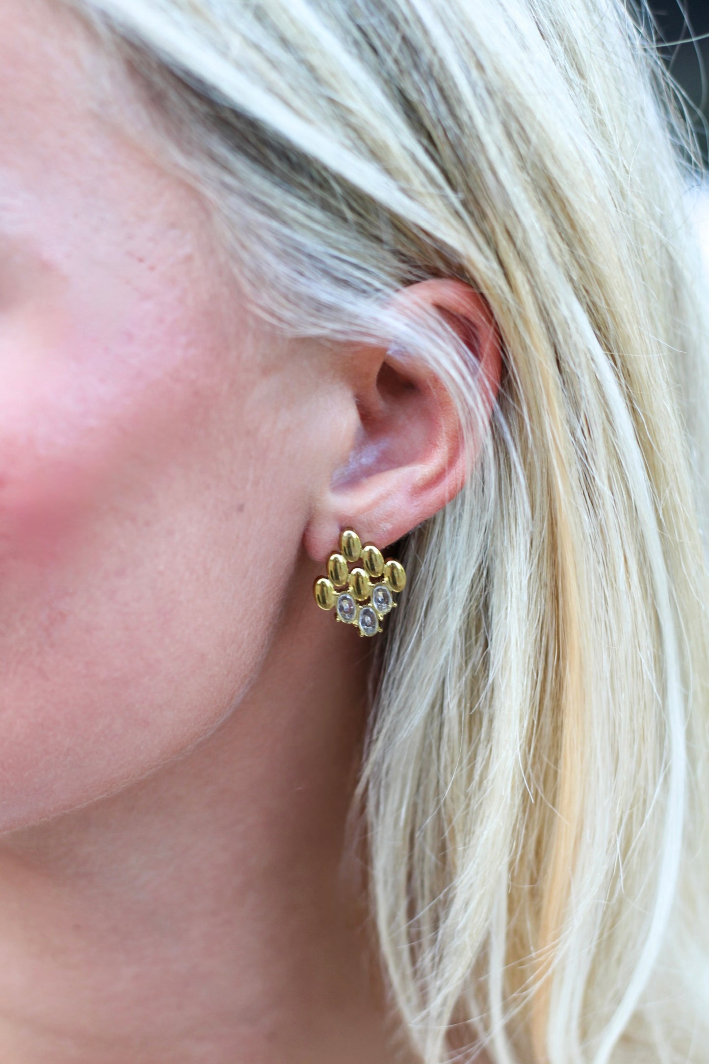 Tuscon Earrings