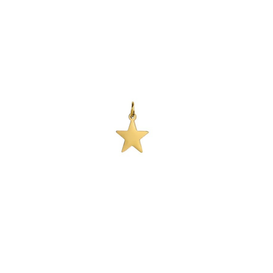 Gold Star Add-On Charm