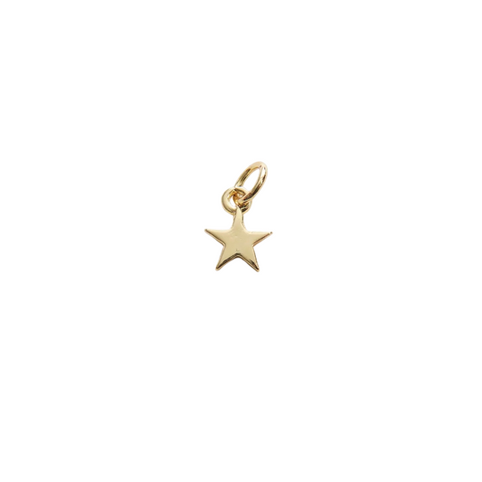Gold Star Charm