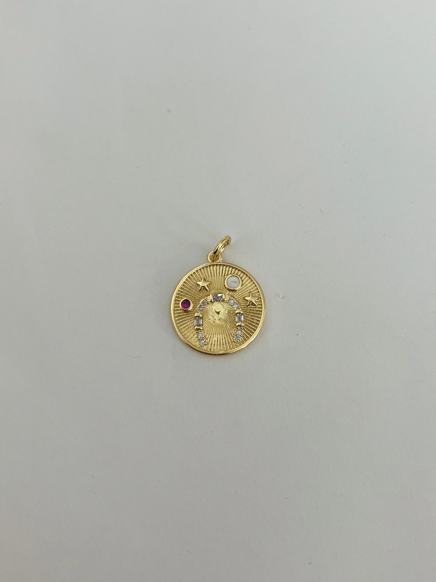 Horseshoe Coin Charm