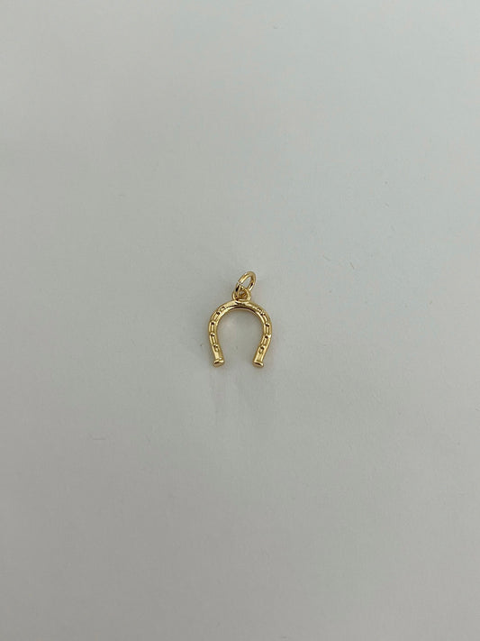 Horse Shoe Charm