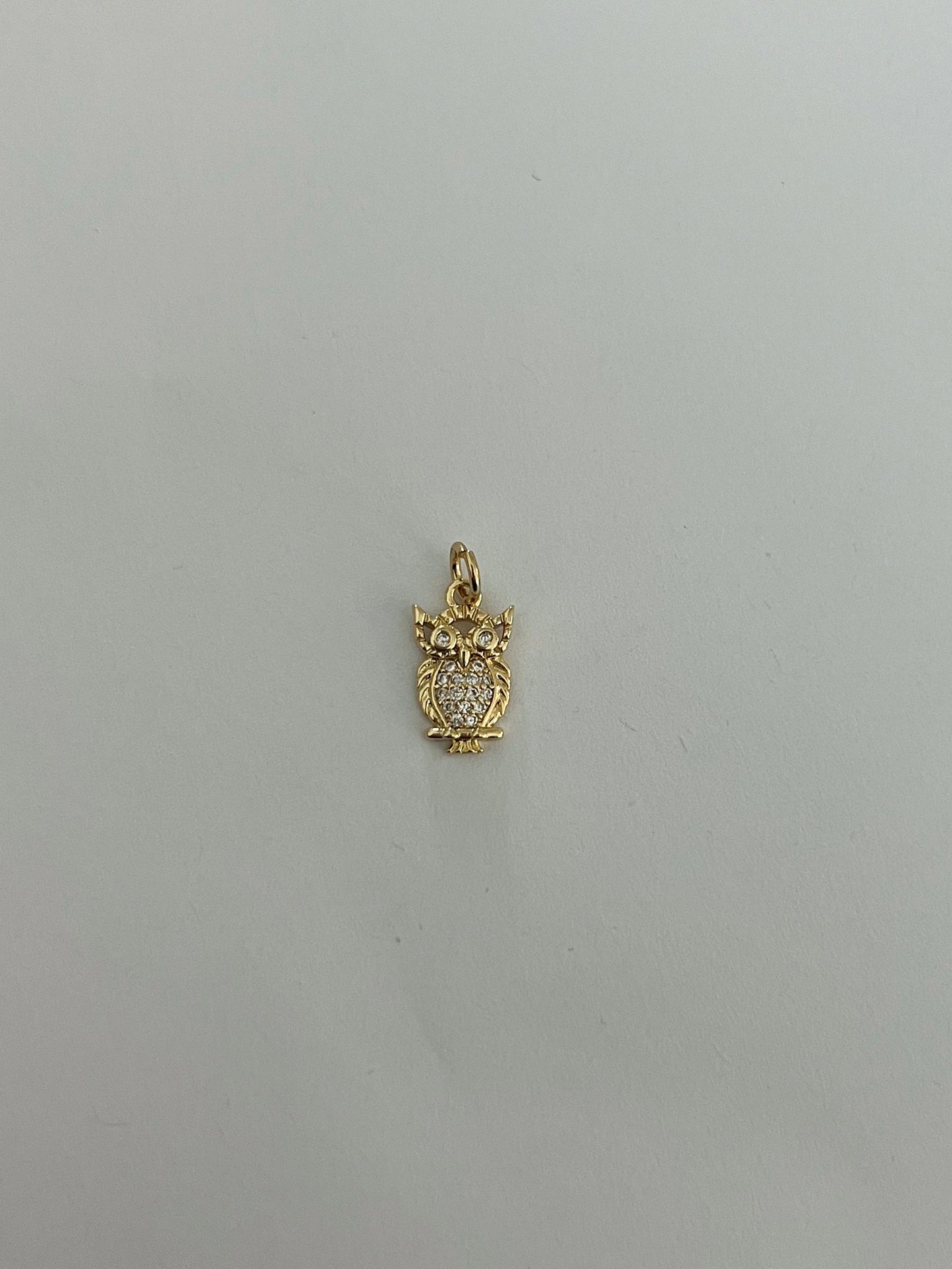 Owl Charm