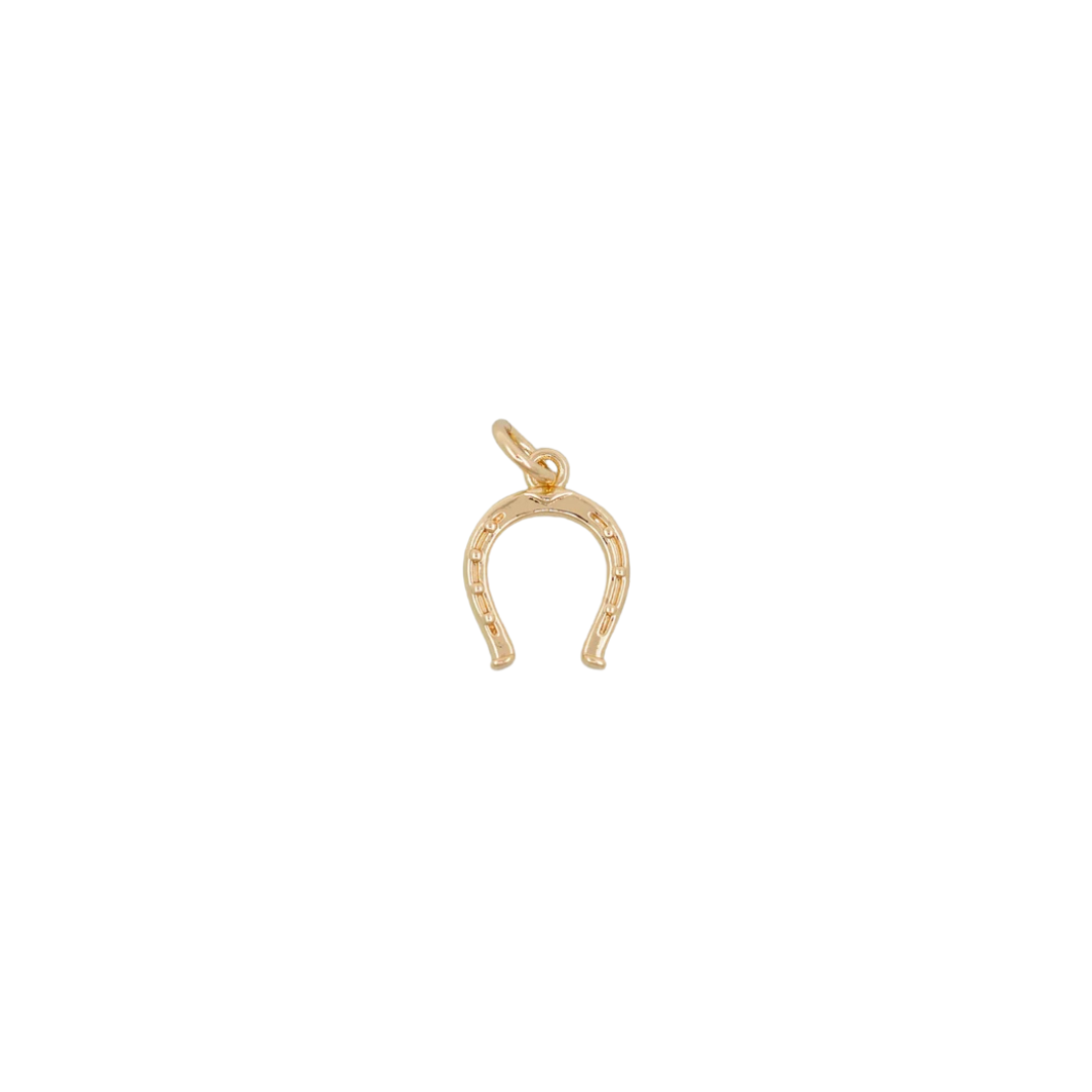 Horse Shoe Charm