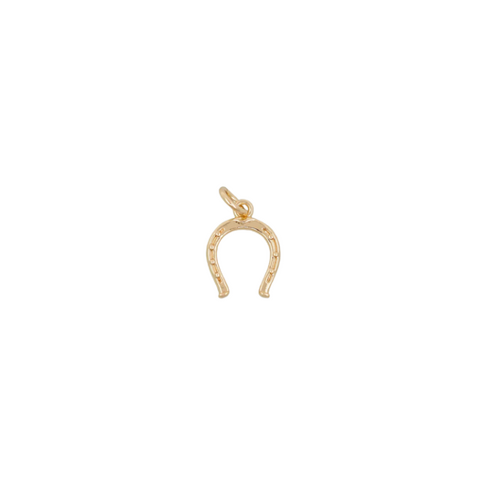 Horse Shoe Charm