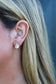 Ashlin Diamond Studs