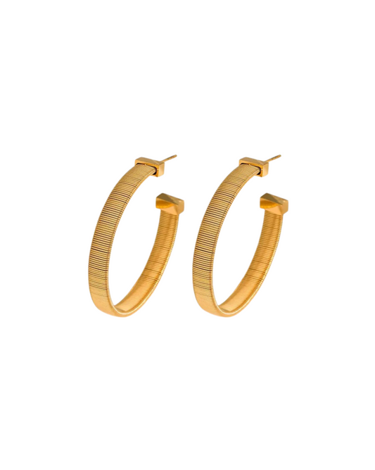 Zoey Hoops